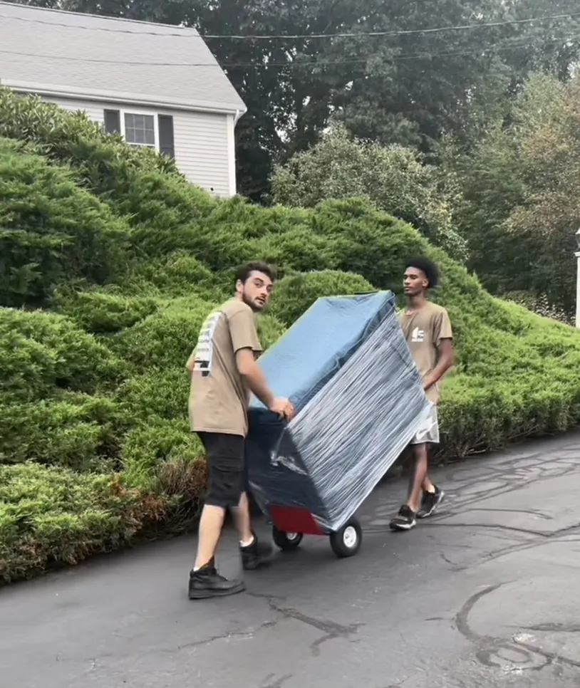 Two movers carrying a wrapped item outdoors surrounded by greenery